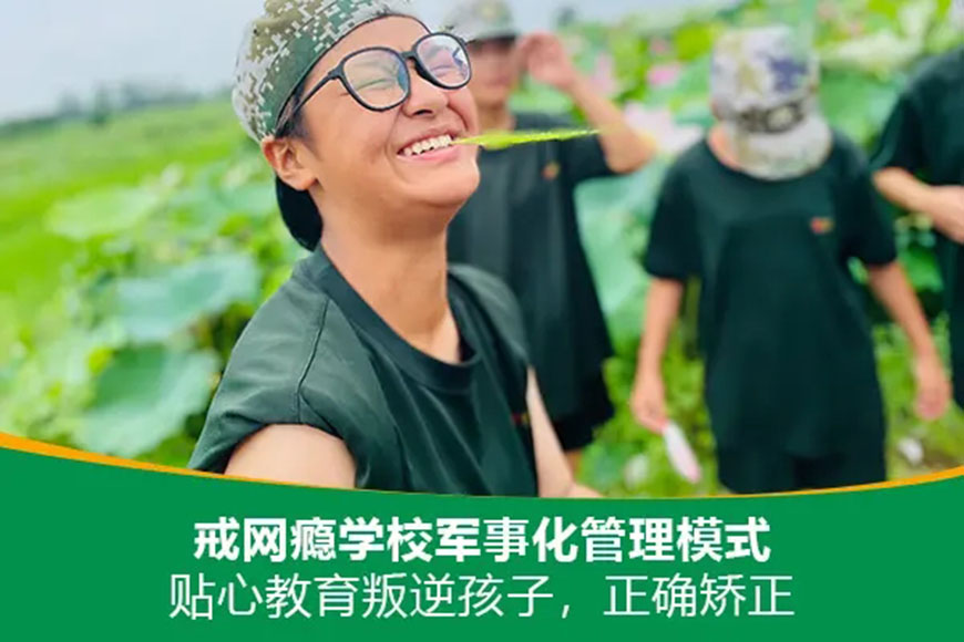 正苗启德叛逆