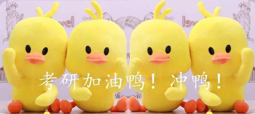 考研辅导，考研集训