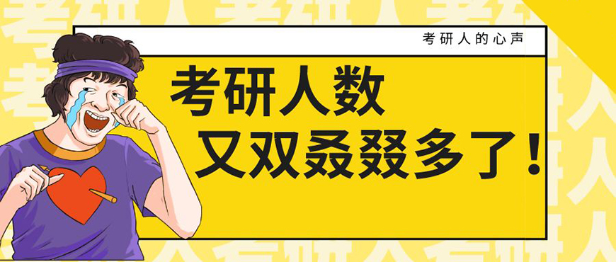 考研辅导，考研集训