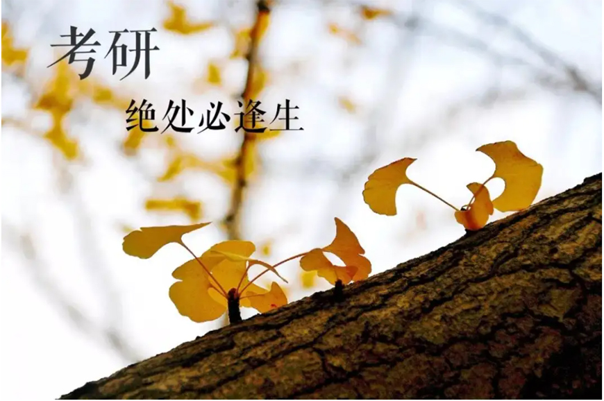 考研辅导，考研集训