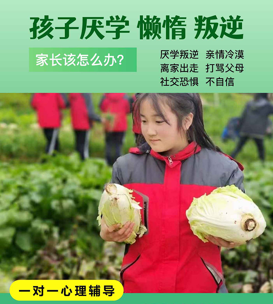 叛逆