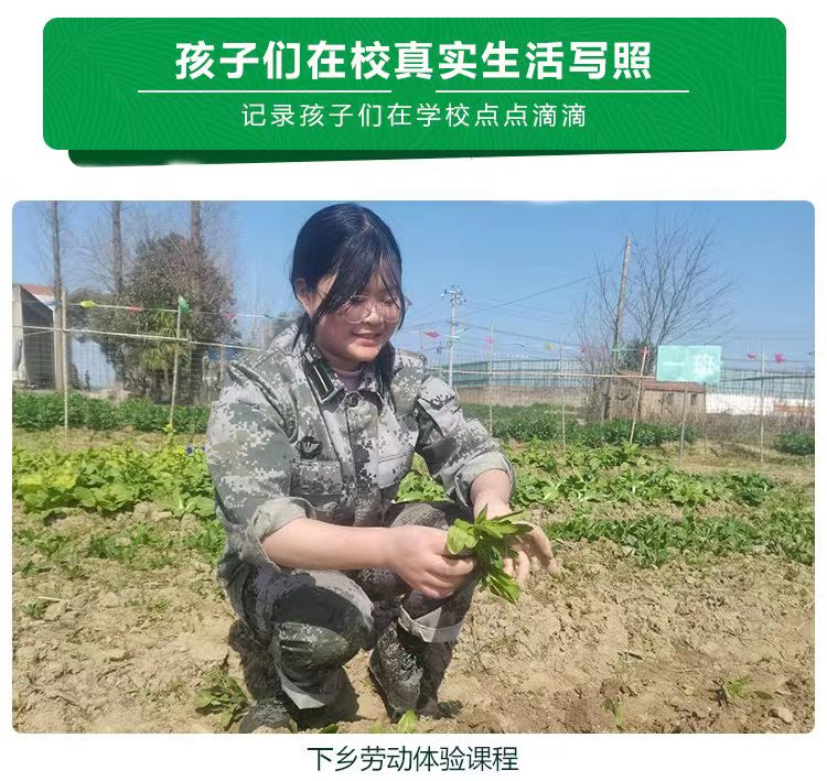 叛逆