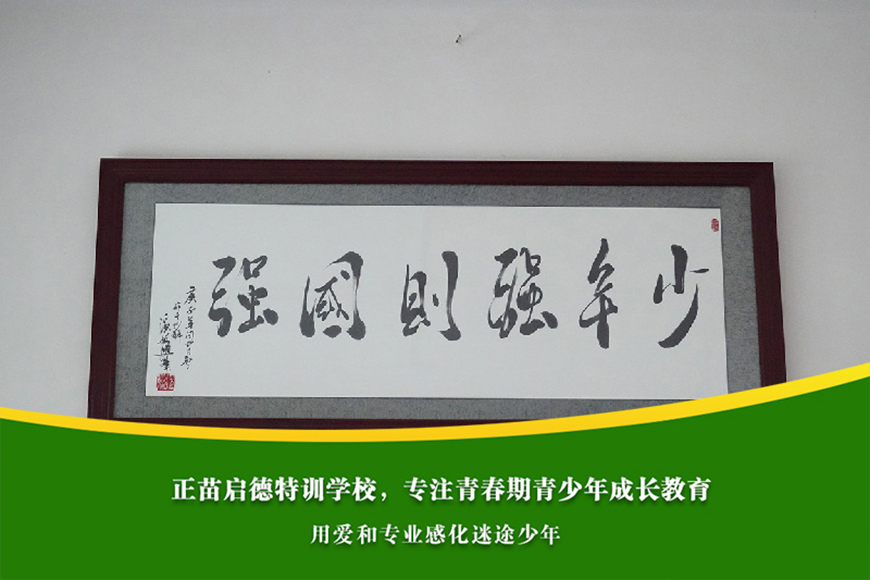 叛逆