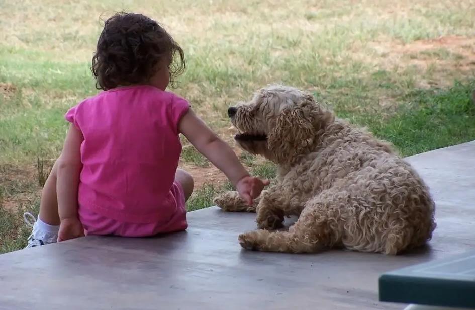 东方启音儿童语言康复