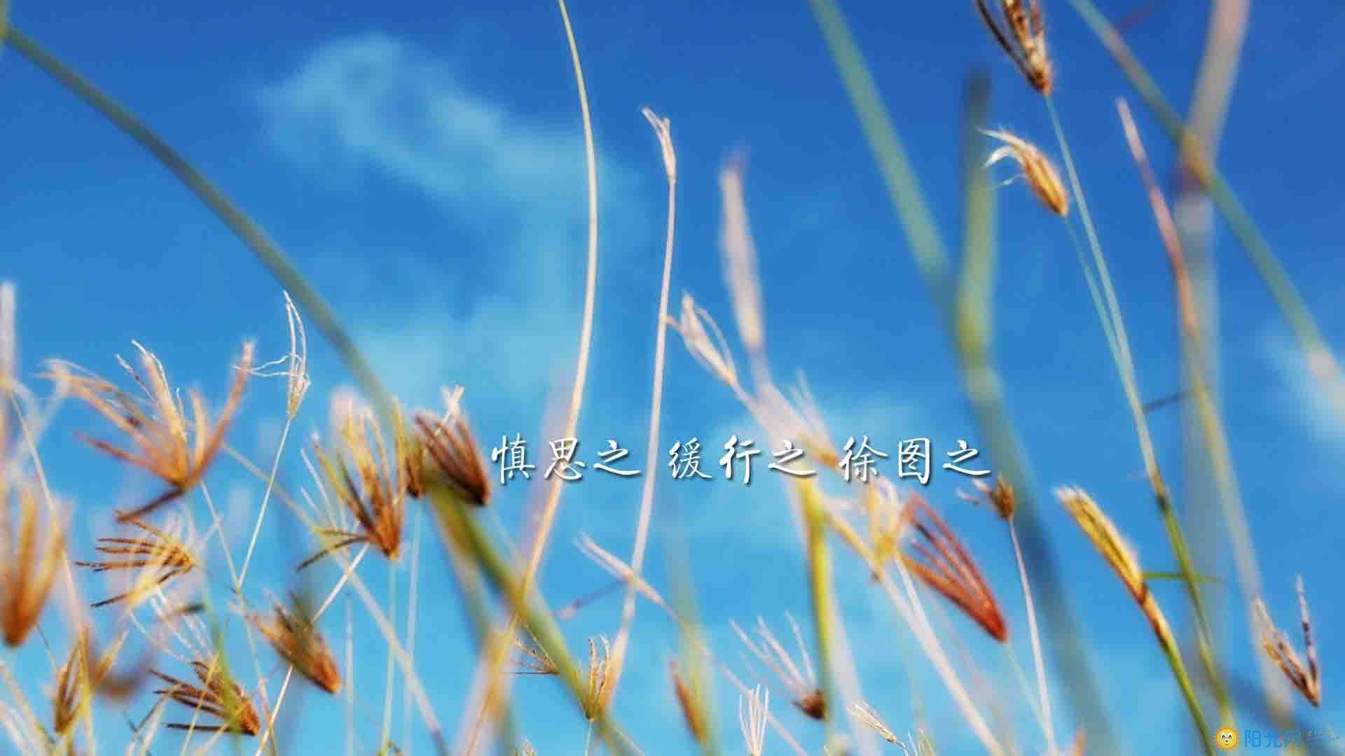 文都考研