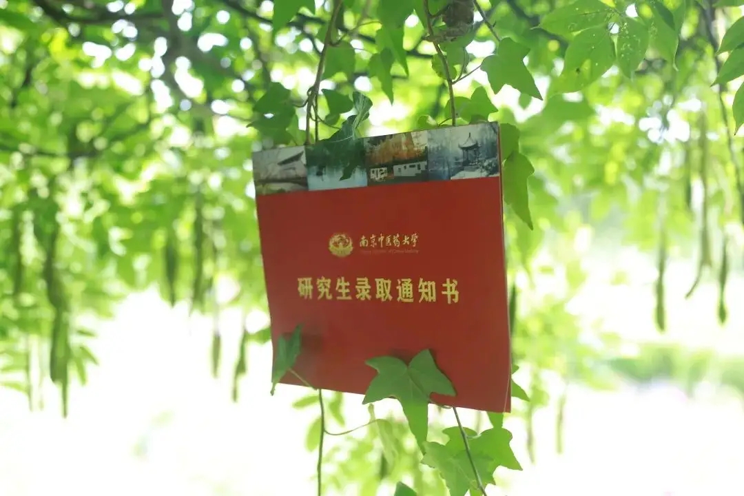文都考研
