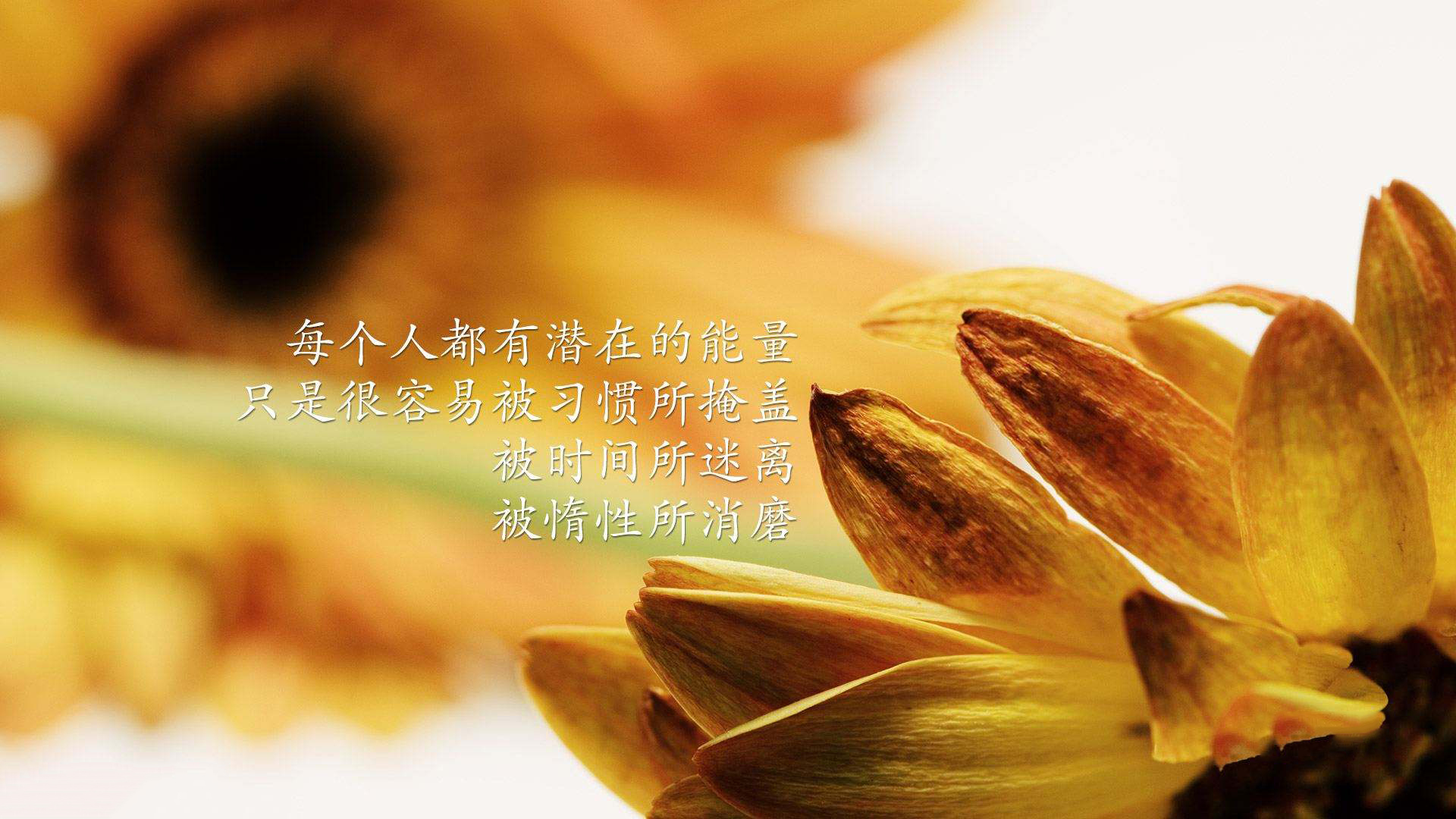 考研