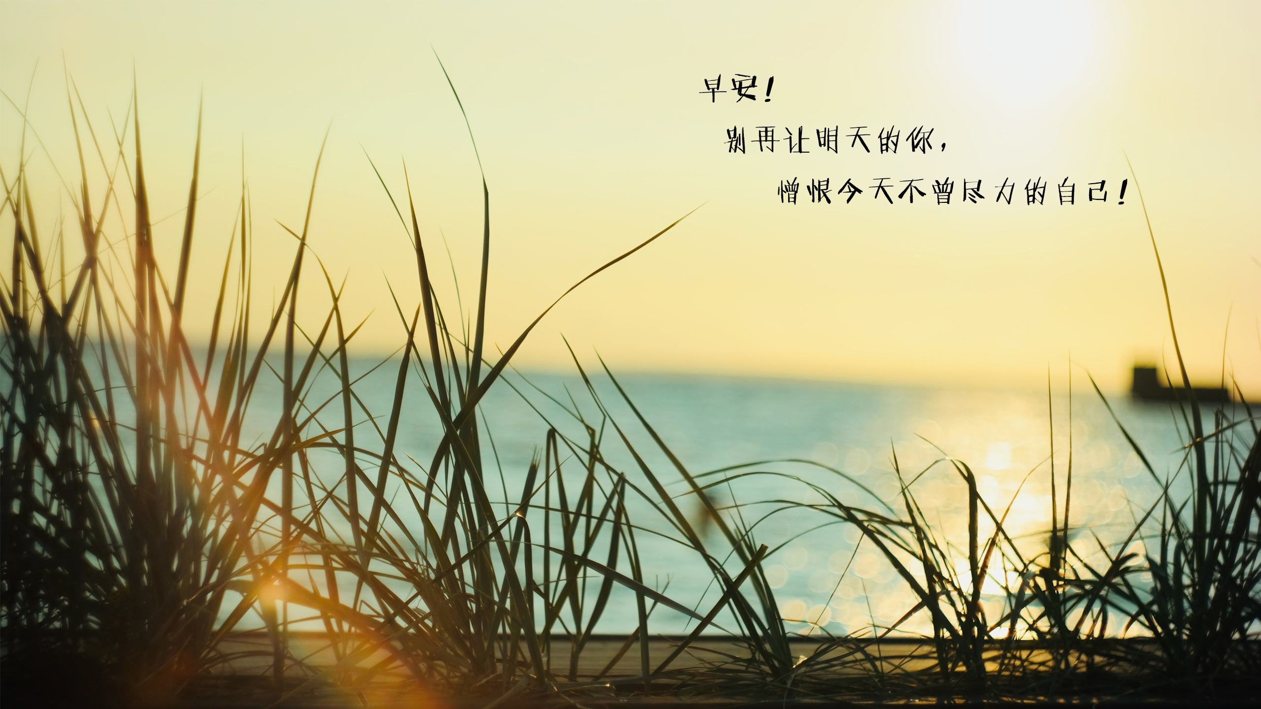 考研