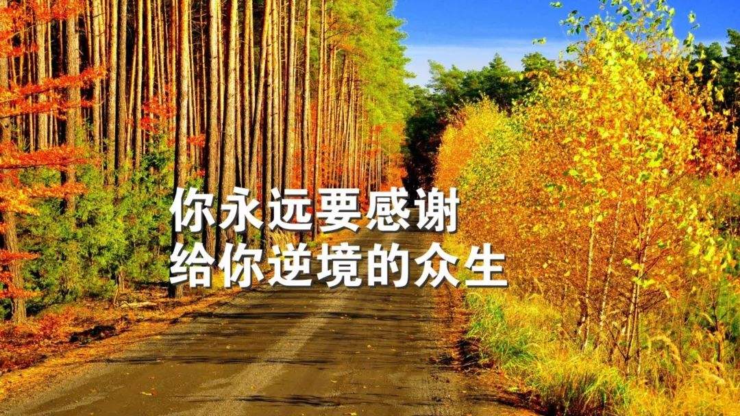 考研
