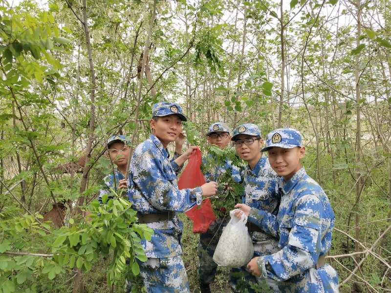 河南护航