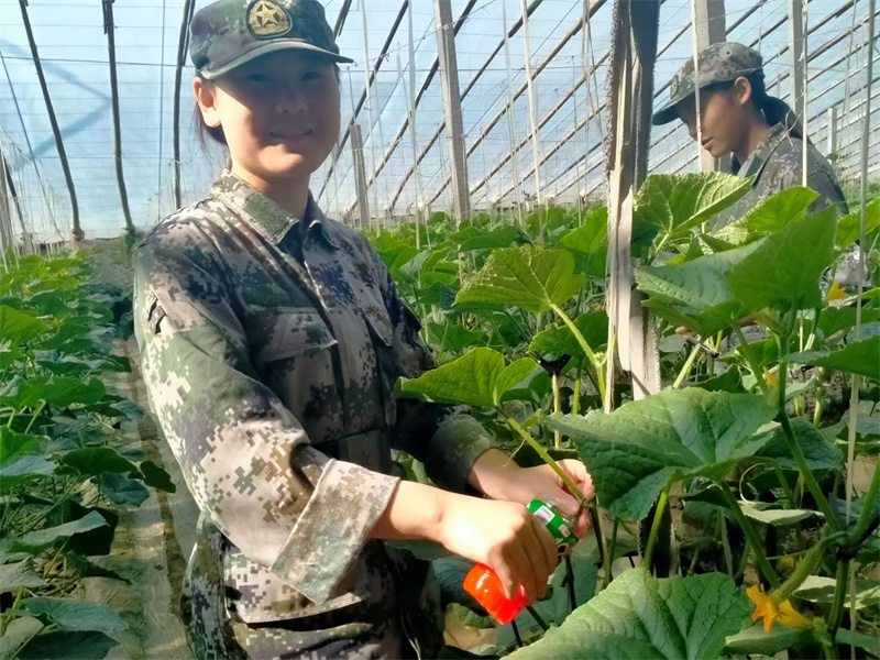 河南护航