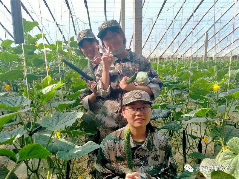 河南护航