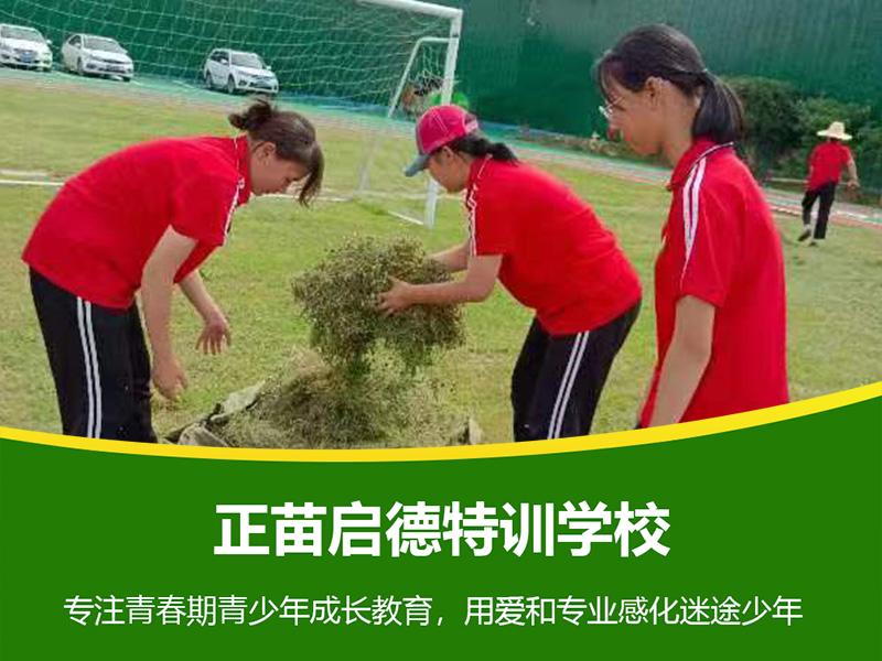 正苗启德叛逆学校