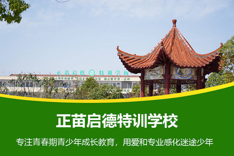 正苗启德叛逆学校