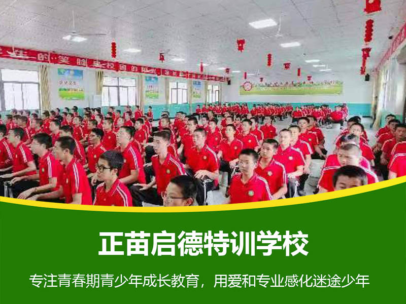 正苗启德叛逆学校
