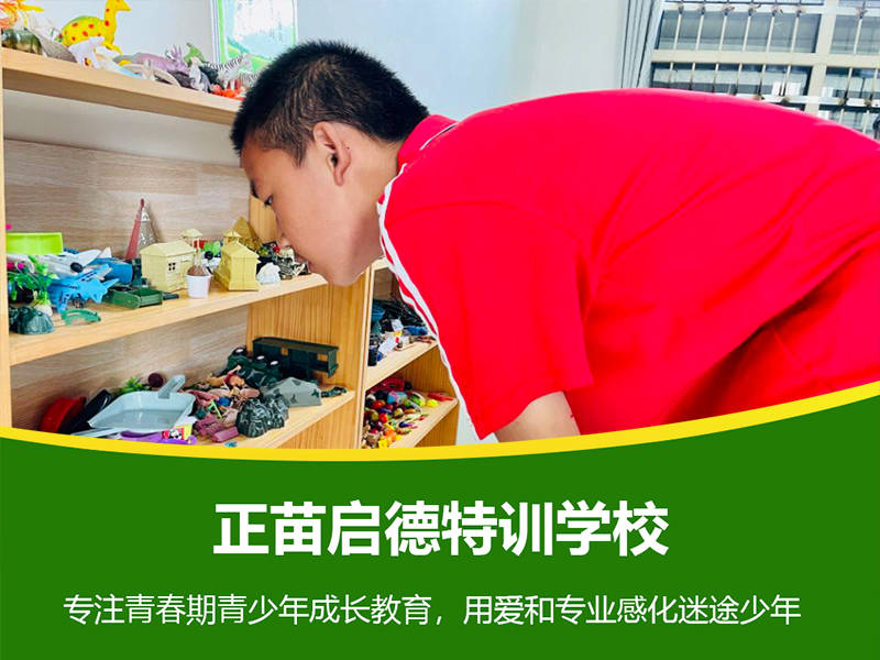 正苗启德叛逆学校