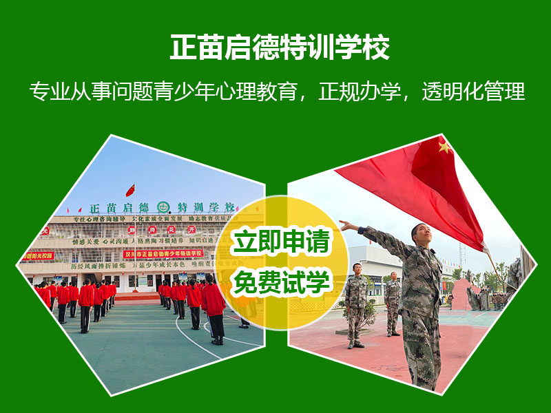 正苗启德叛逆学校