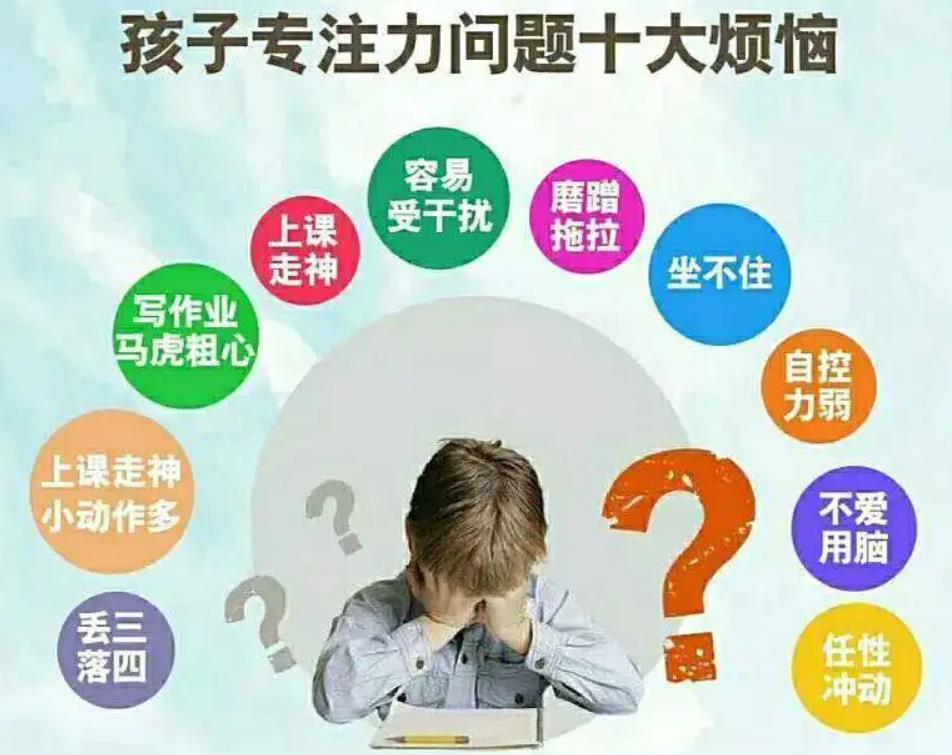 素质教育